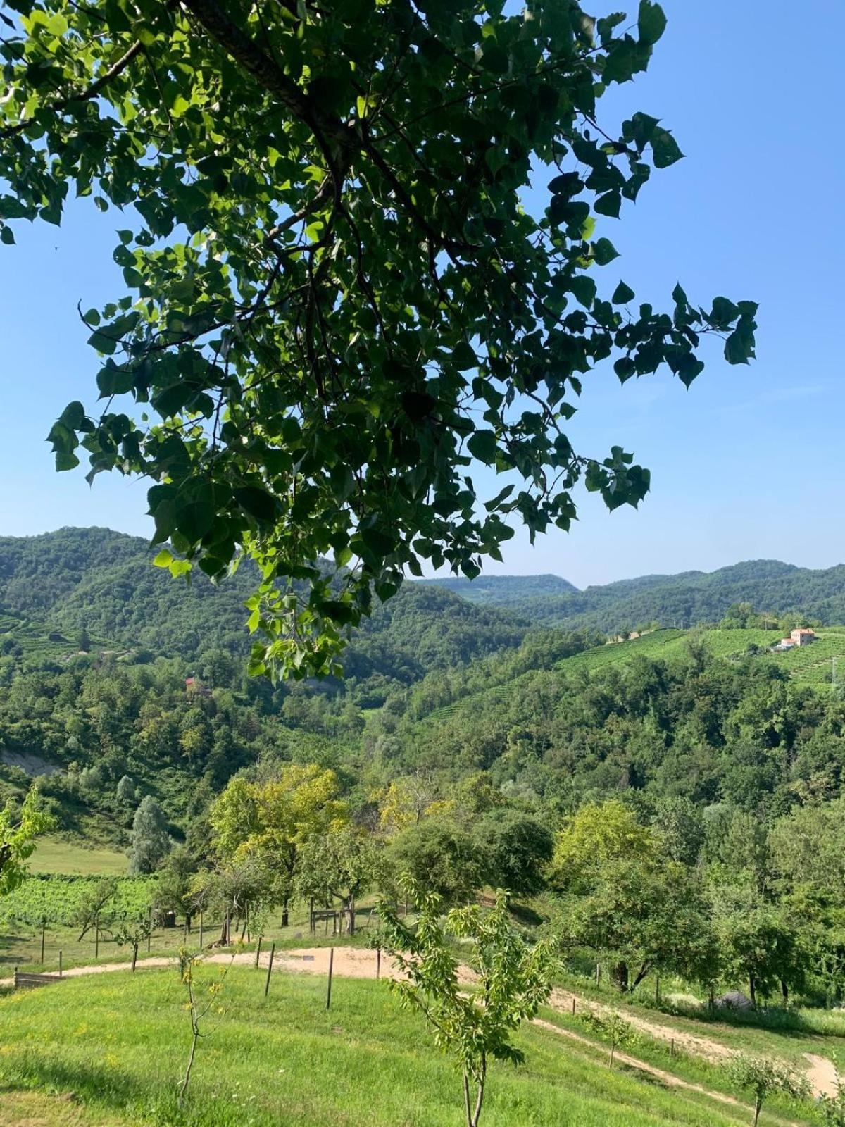 Tarzo Agriturismo Le Noci מראה חיצוני תמונה