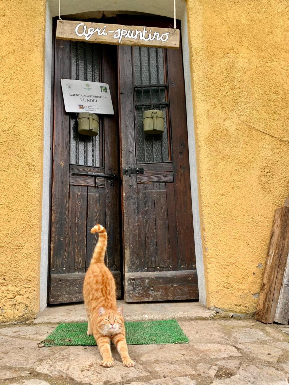 Tarzo Agriturismo Le Noci מראה חיצוני תמונה