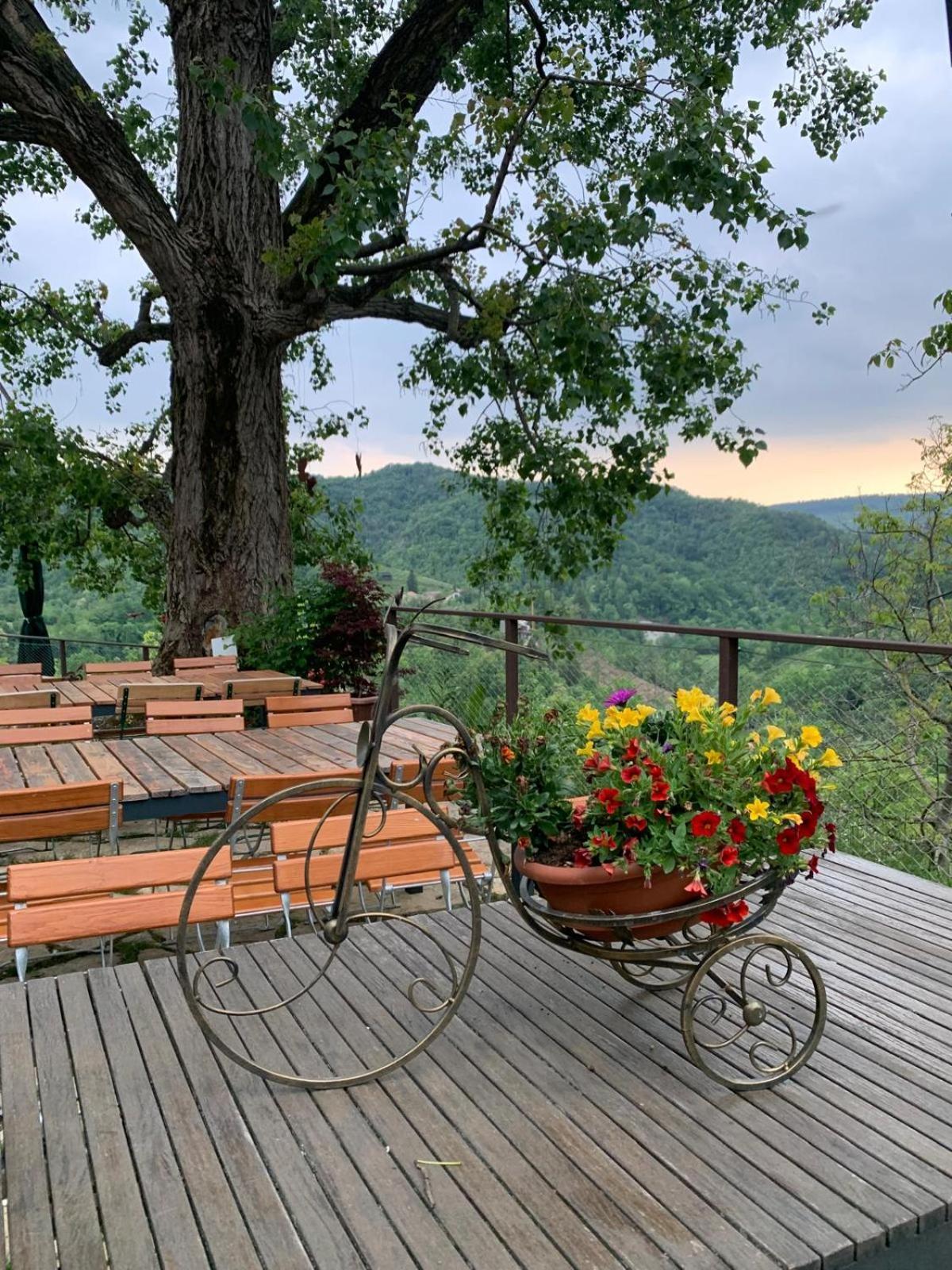 Tarzo Agriturismo Le Noci מראה חיצוני תמונה
